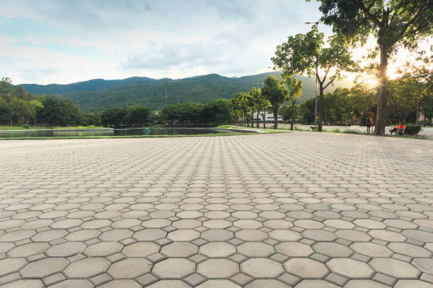 Best Driveway Paving Contractor  in Harveys Lake, PA